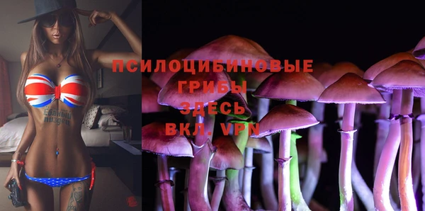 таблы Алексин