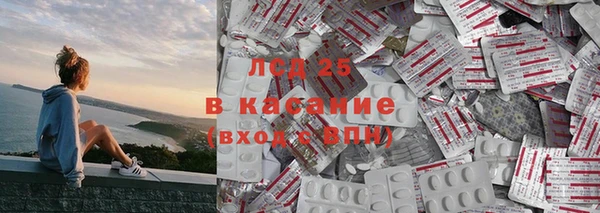 ECSTASY Алзамай