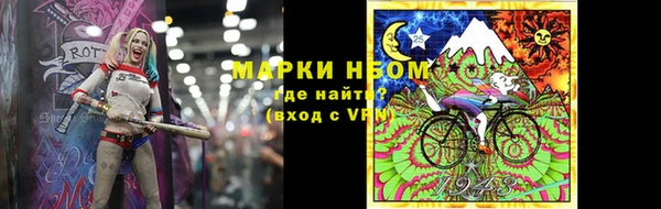 ECSTASY Алзамай