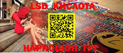 стафф Камышлов