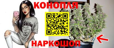 стафф Камышлов