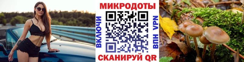 Псилоцибиновые грибы GOLDEN TEACHER  Михайловск 
